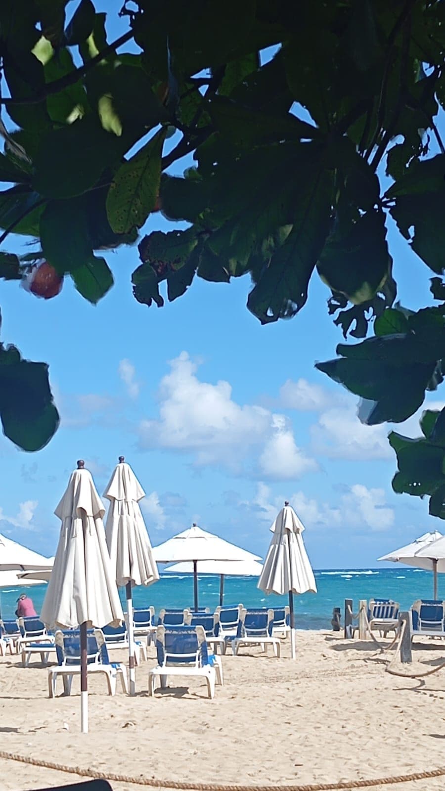 Puerto Plata adventure 12